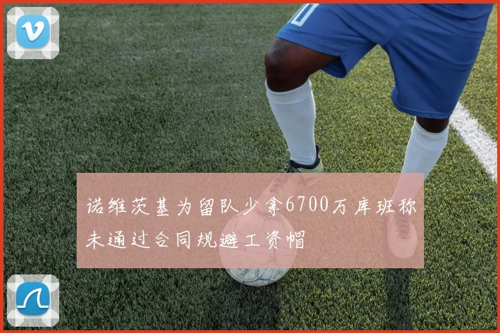 诺维茨基为留队少拿6700万库班称未通过合同规避工资帽